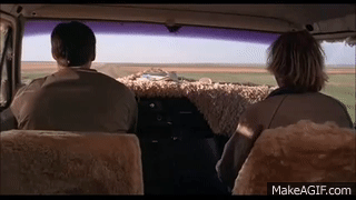 IMG_7331.gif.d16e1aa9a6ecf4d0d24e6716f92e2095.gif