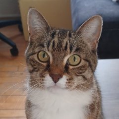 krink