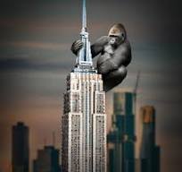 kong.jpg.754062b769854167adb51edf2922202e.jpg