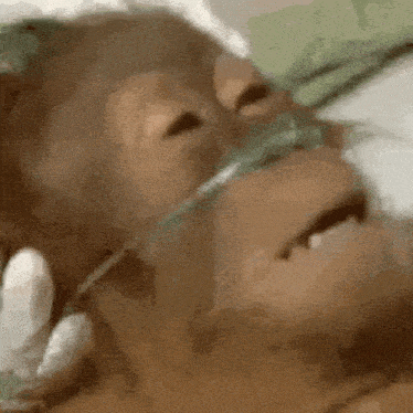image.gif.367b7a68c0cccadaa0796af813547851.gif