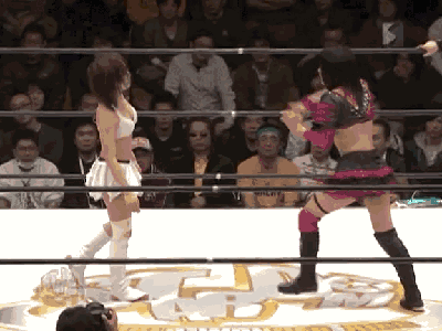 knockout.gif.49a21dfee8e927b13d91ff94e4a4a73e.gif