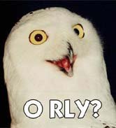 orly_small.jpg.1d1ded45a303817b5b0a40e2615c05c8.jpg