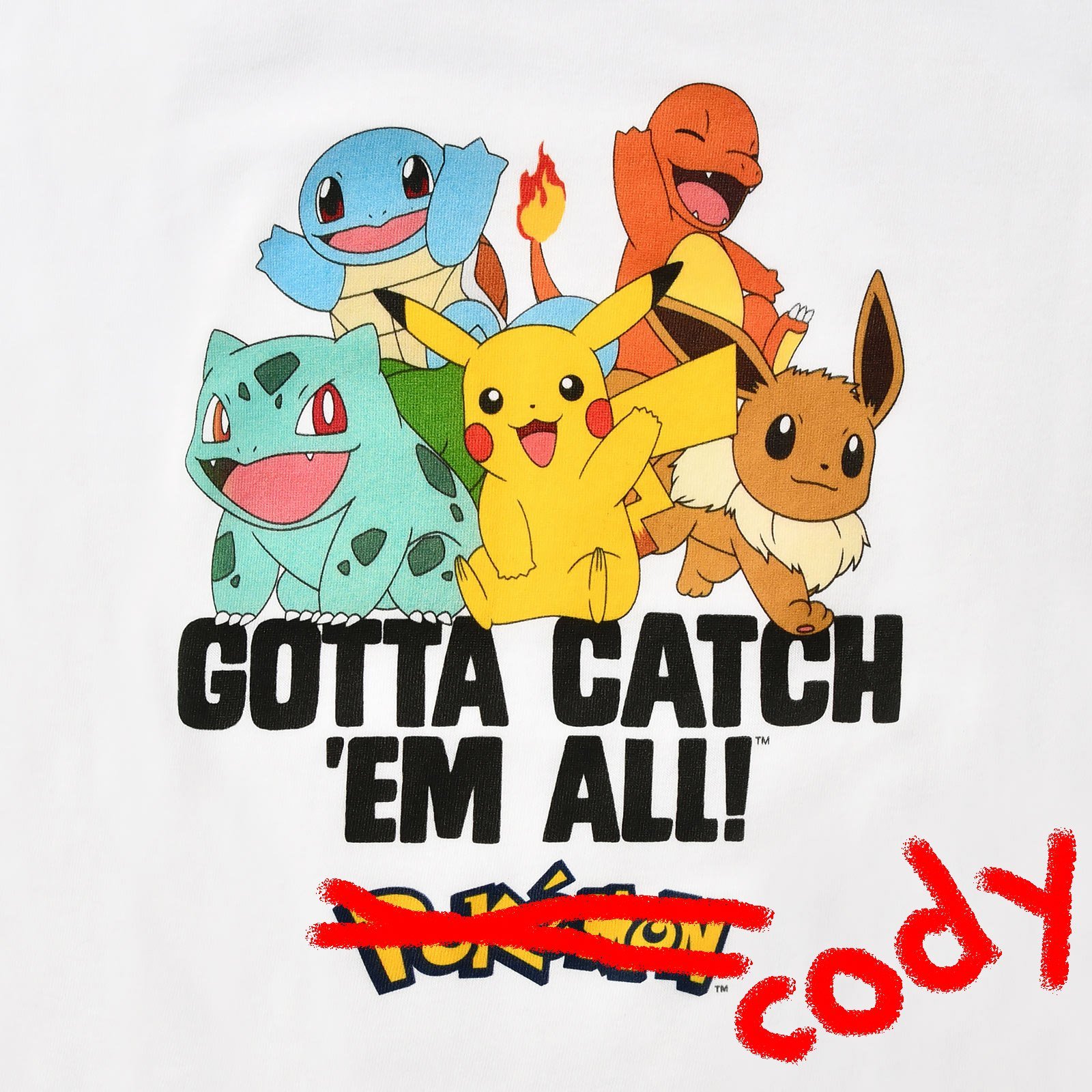 pokecody.jpg
