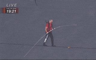 IMG_0775.gif.7d2a0008bbc338e03de78ea493cee581.gif