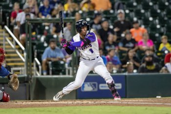 2026 Twins Daily FCL Twins Hitter of the Year